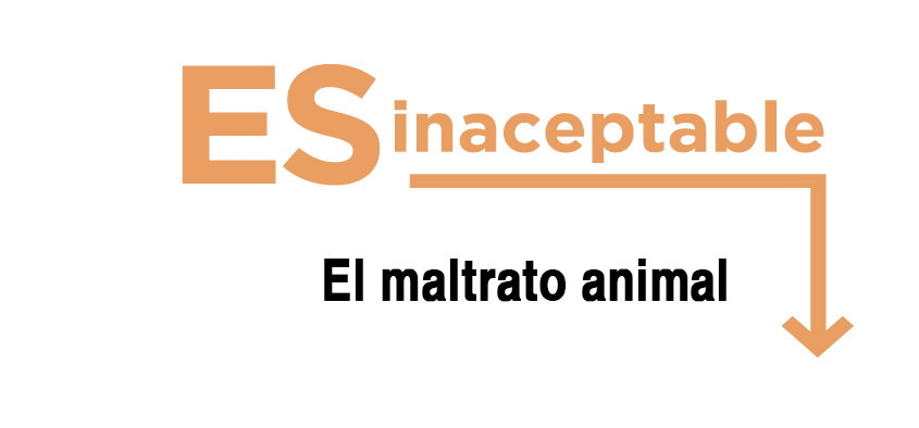 Es inaceptable